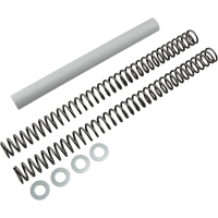 (image for) Race Tech Fork Spring FRSP375046