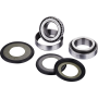 (image for) OEM Series Steering Stem Bearing Kit 0401-0099