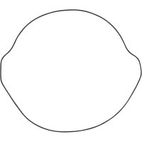 (image for) Vertex Outer Clutch Gasket Kit