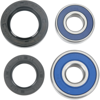 (image for) Rear Wheel Bearing and Seal Kit