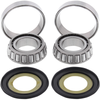(image for) Neck Post Bearing and Race Kit (Repl. 45700009)