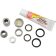 (image for) Pivot Works Shock Bearing Kit
