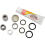 (image for) Pivot Works Shock Bearing Kit