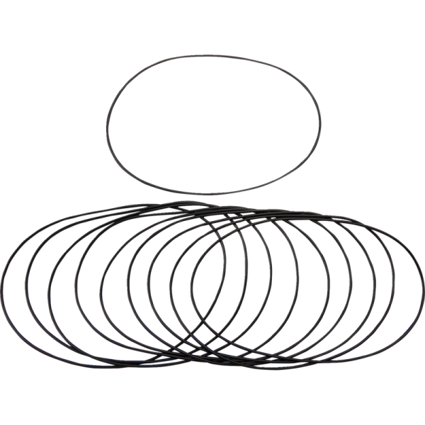 (image for) JAMES GASKET Alternator/Chain Housing O-Ring 99-06