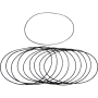 (image for) Alternator/Chain Housing O-Ring 99-06