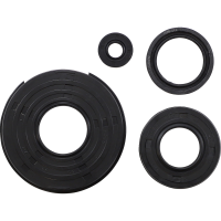 (image for) Engine Oil Seal Kit for Yamaha Bravo 250 84-01