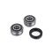 (image for) Front Wheel Bearing Kit - MASAI
