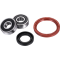 (image for) Front Wheel Bearing Kit - SUZUKI