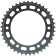 (image for) Sunstar Steel OEM Replacement Rear Sprocket 1210-0204