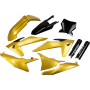 (image for) Complete Body Kit - Gold