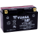 (image for) Yuasa AGM Maintenance-Free Battery - YT7B-BS
