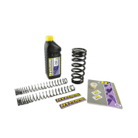 (image for) Lowering Spring - Rear 25 mm