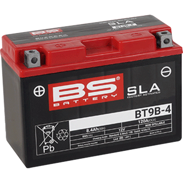 (image for) BS Battery SLA AGM 2113-0620