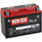 (image for) BS Battery SLA AGM 2113-0620