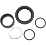 (image for) Countershaft Seal Kit 0935-0434