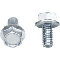 (image for) Replacement 10mm Hex-Head Flange Bolt M6 x 1.0 x 12