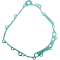 (image for) Stator Gasket for Buell 1125CR/1125R 09-10