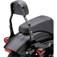 (image for) Detachable Backrest Kit Square