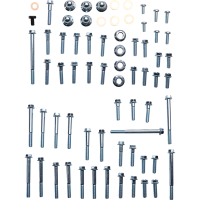 (image for) Engine Fastener Kit - Suzuki RM125 95-07