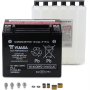 (image for) Yuasa High-Performance AGM Battery YTX20H-BS