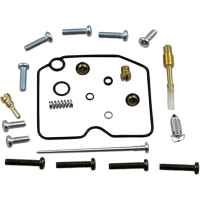 (image for) Carburetor Repair Kit