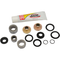 (image for) Pivot Works Shock Bearing Kit
