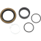 (image for) Countershaft Seal Kit 0935-0430