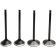 (image for) Black Diamond Valve Kit