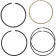 (image for) Replacement Piston Rings