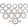(image for) DPK Clutch Kit - HONDA CRF250R 04-07
