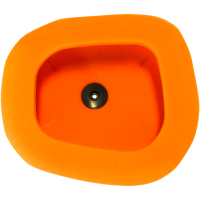 (image for) Twin Air Standard Filter 1011-4247