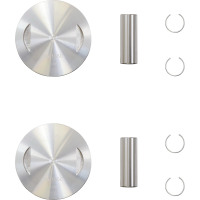 (image for) Replacement Piston Kit