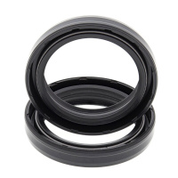 (image for) Fork Seals Only