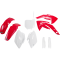 (image for) UFO Body Kit - Honda CRF150R 07-26 - OEM