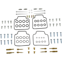 (image for) Carburetor Repair Kit