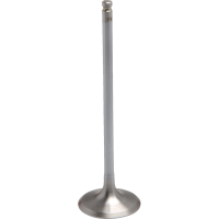(image for) White Diamond Intake Valve