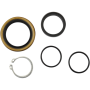 (image for) Countershaft Seal Kit 0935-0847