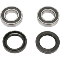 (image for) Front Wheel Bearing and Seal Kit