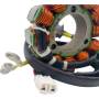 (image for) Rick's Motorsport Electrics Stator 2112-1852