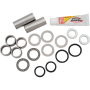 (image for) Swingarm Bearing Kit SA-Y07-421