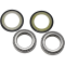 (image for) Steering Stem Bearing Kit 22-1031