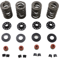 (image for) Racing Valve Spring Kit, 0.675" Lift, Steel Retainers