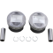 (image for) Replacement Piston Kit - Std