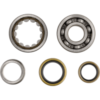 (image for) ProX Crankshaft Bearing and Seal Kit