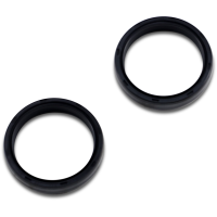 (image for) Fork Seals (Pair)