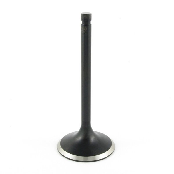 (image for) AV&V Extreme-Duty Tulip Intake Valve