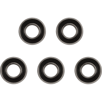 (image for) OEM Series Rear Bearing Pack (5-Pack) - 0215-1302