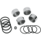 (image for) Caliper Piston and Seals Kit 1702-0119
