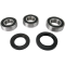 (image for) Rear Wheel Bearing and Seal Kit for Kawasaki ZX-10R 06-07