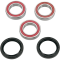 (image for) Rear Wheel Bearing and Seal Kit
